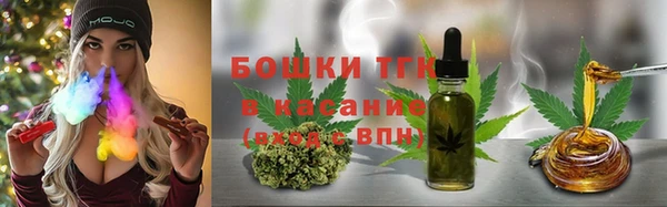 прущие грибы Алексеевка
