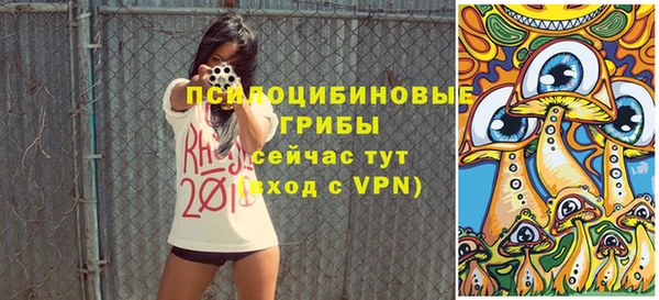 прущие грибы Алексеевка
