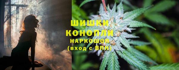 прущие грибы Алексеевка